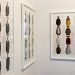 Superstories Trienalle of modern art fashion, design. Limburg Oost/West