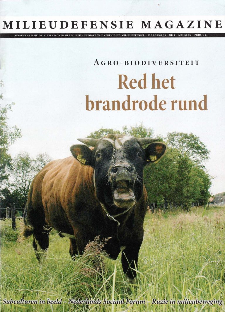 Identiteit door uniformiteit