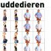 16 miljoen kuddedieren